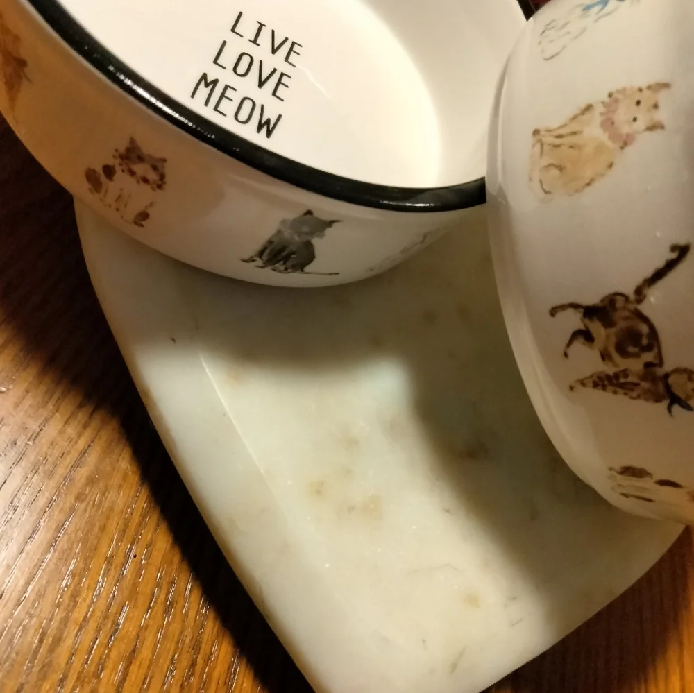 Cat ceramic bowls (2)